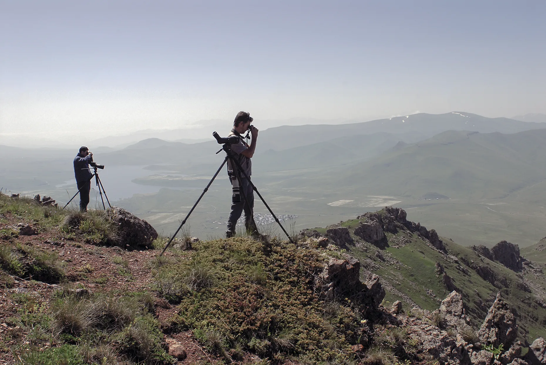 Biodiversity monitoring